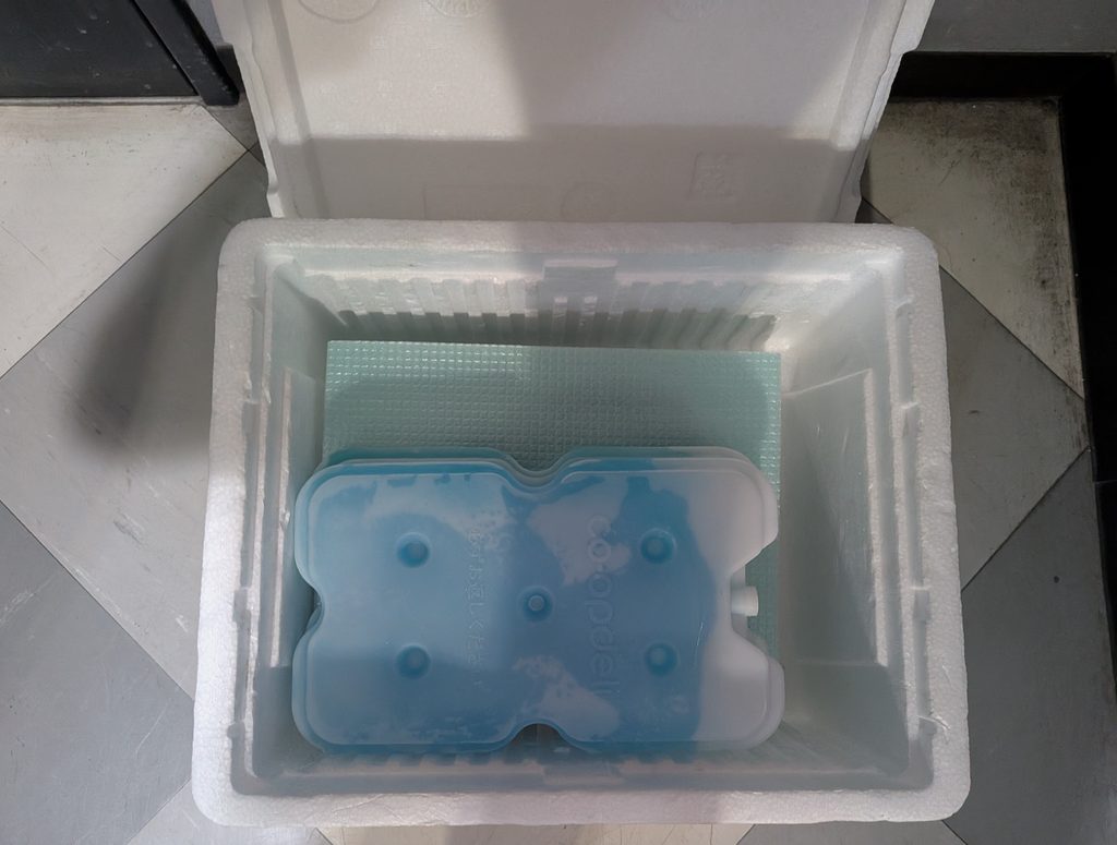 コープデリの宅食用発泡スチロールボックスの中に保冷剤が入っている様子